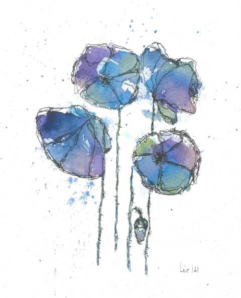 Blue poppys 3